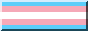 Trandgender Pride Flag