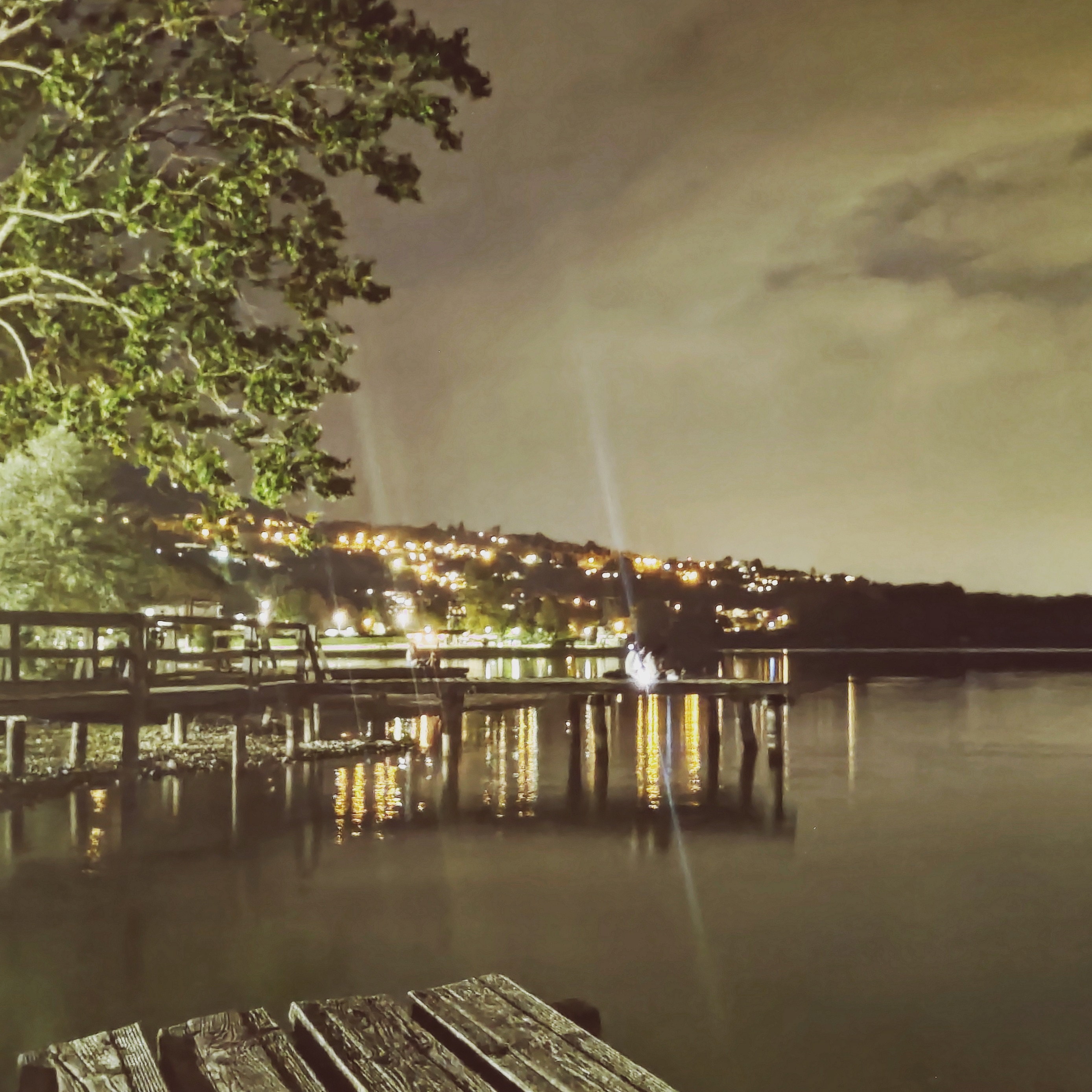 photo of a dock at a lake, a tree hanging in the top left corner. the background shows a town with lots of lights, the image appears to be shot at night